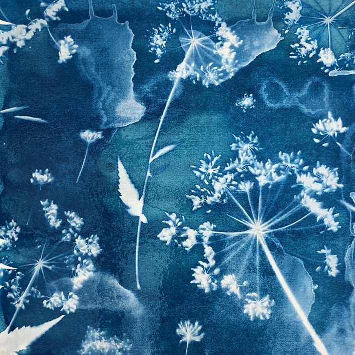 atelier-cyanotype-pour-enfants